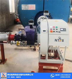 低氮燃燒機與隆鑫熱能設備 高效環保的機電設備解決方案